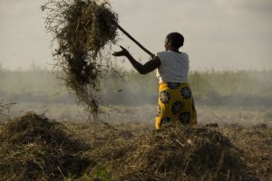Climate Change In Mozambique's South- the Climate Investment Fun
